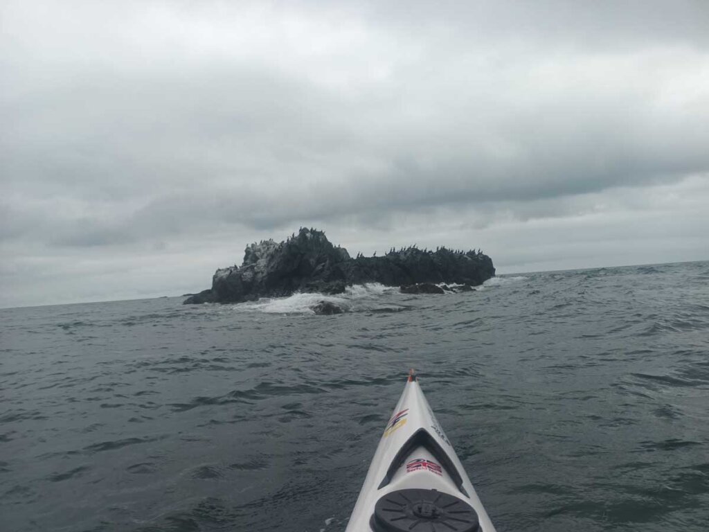 rock-gannets-seabirds-kayak