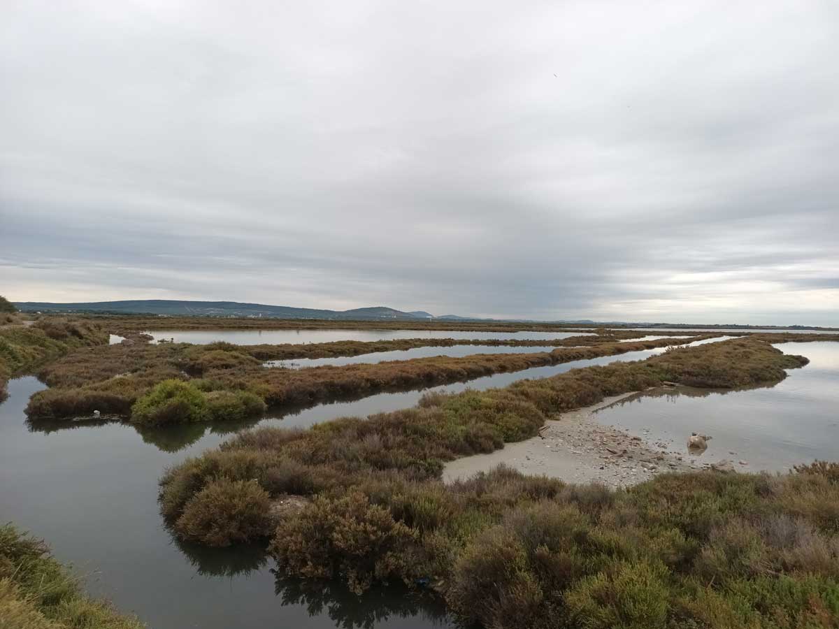 Day 40: Plage Frontignan to Le Grau-de-Roi