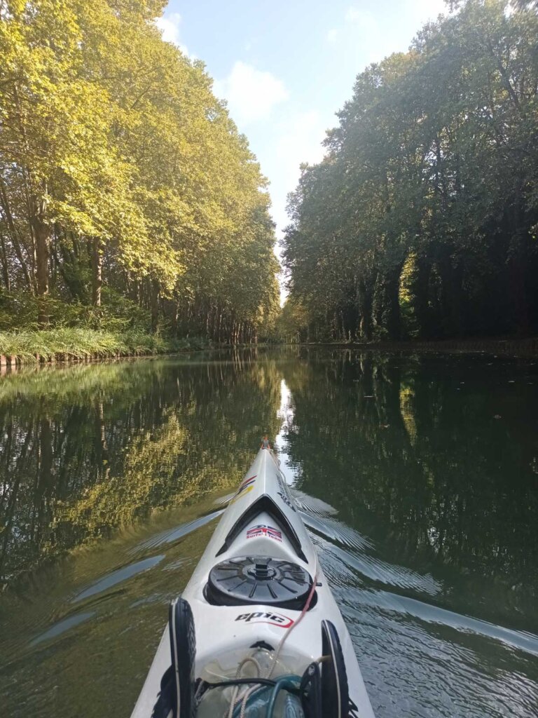 canal plane trees