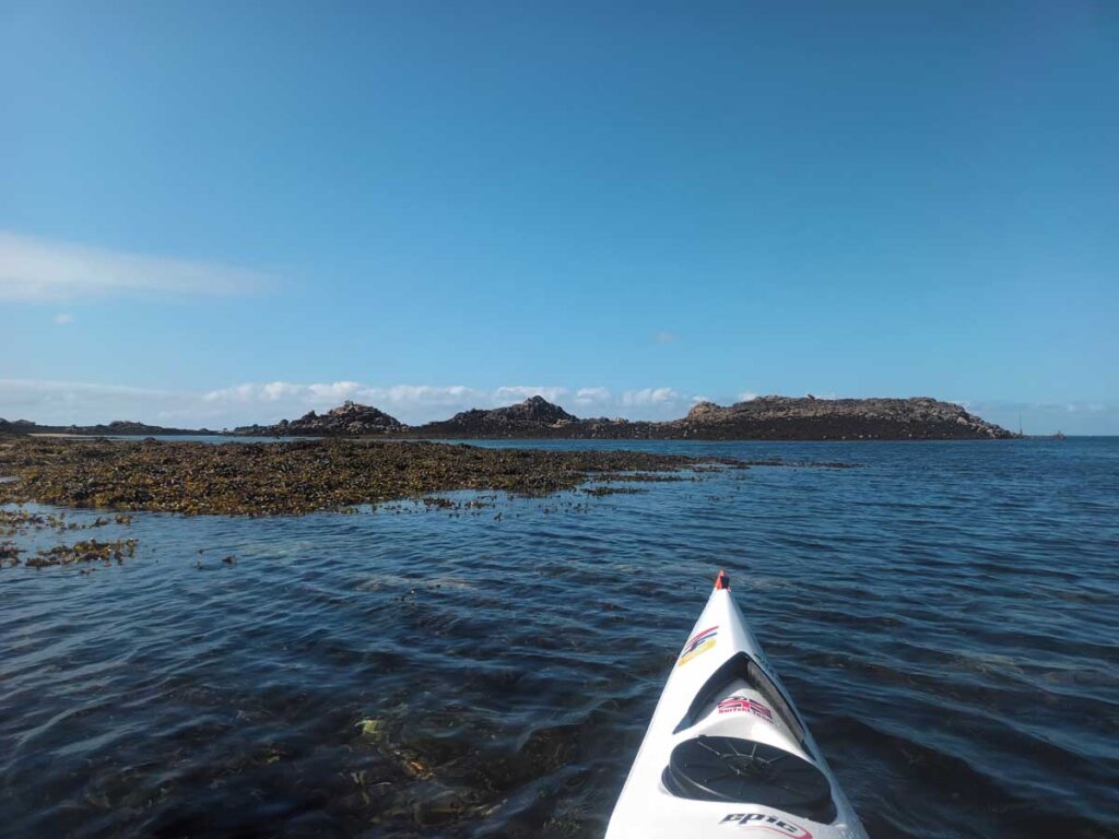 kelp reef seaweed Ile de Brehat layak expedition