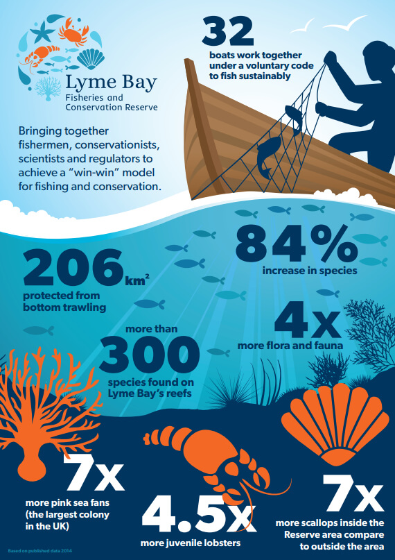 Lyme Bay – a model marine protected area.